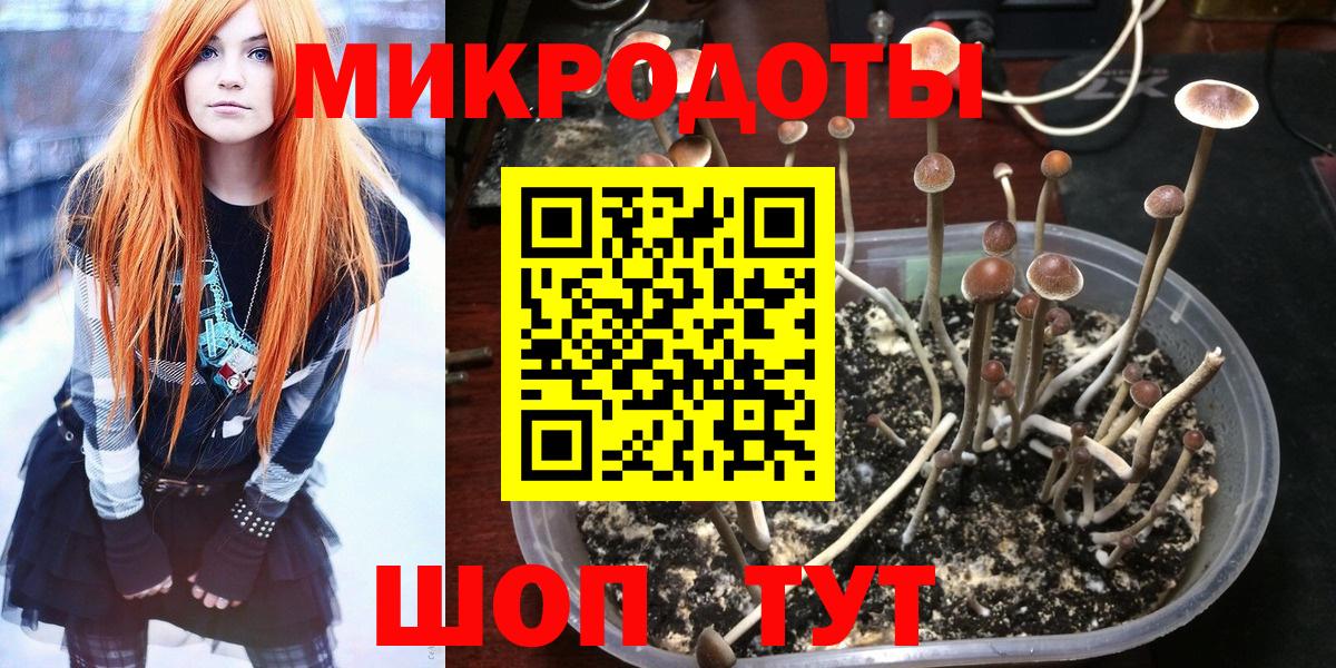 Галлюциногенные грибы мухоморы  Вход с VPN  Новоуральск  Псилоцибиновые грибы ЛСД 
